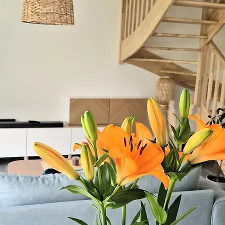 בית נופש Maison Moderne A באדן